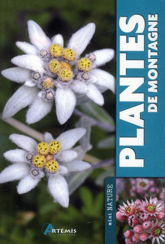 PLANTES DE MONTAGNE