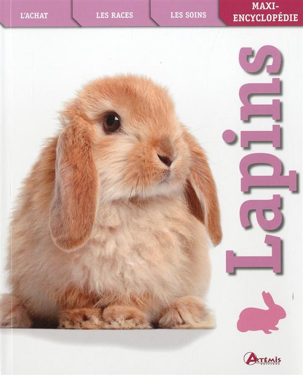 Lapins