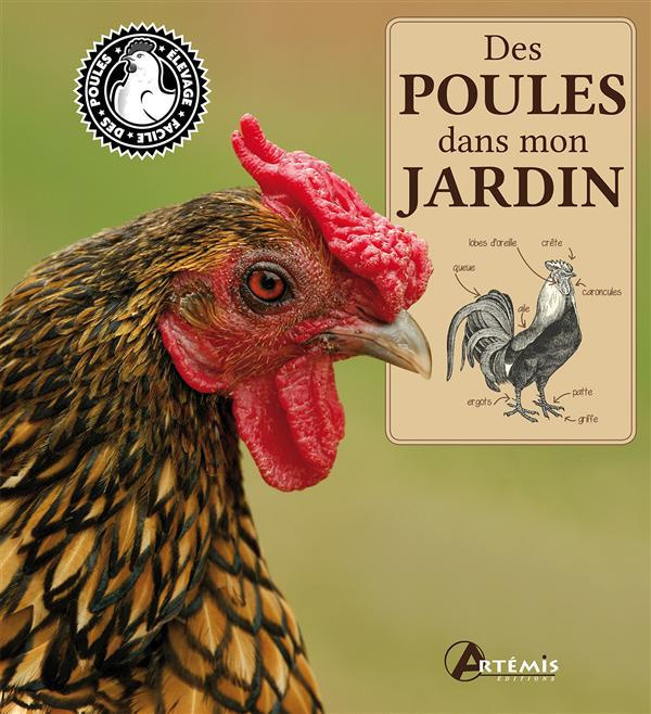 DES POULES DANS MON JARDIN