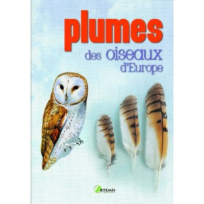 Plumes des oiseaux d'Europe
