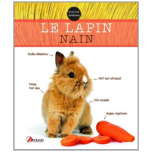 LE LAPIN NAIN