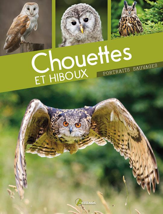Chouettes et hiboux