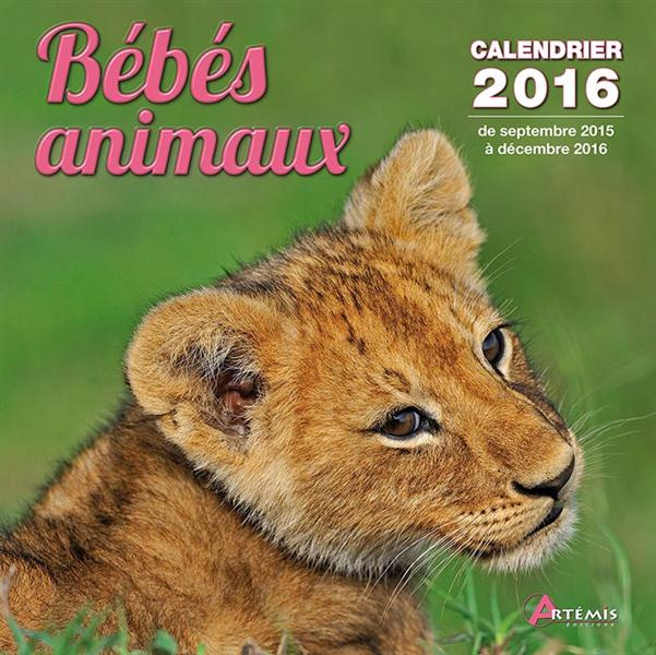 CALENDRIER BEBES ANIMAUX - 2016