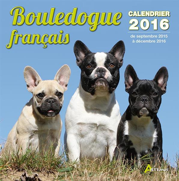 CALENDRIER BOULEDOGUE FRANCAIS - 2016