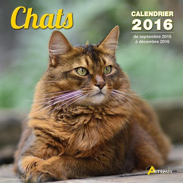 CALENDRIER CHATS - 2016