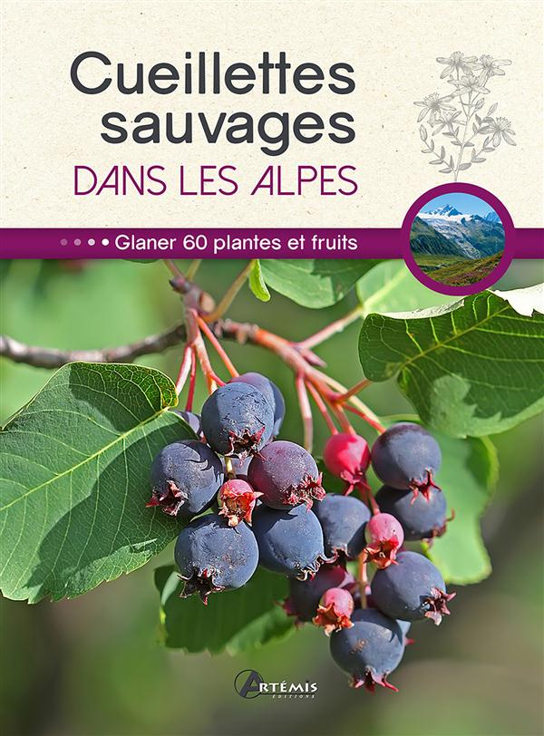 Cueillettes sauvages dans les Alpes. 60 plantes et fruits à glaner