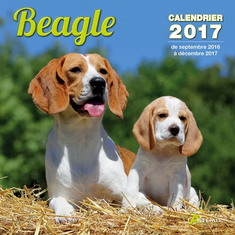 CALENDRIER BEAGLE 2017