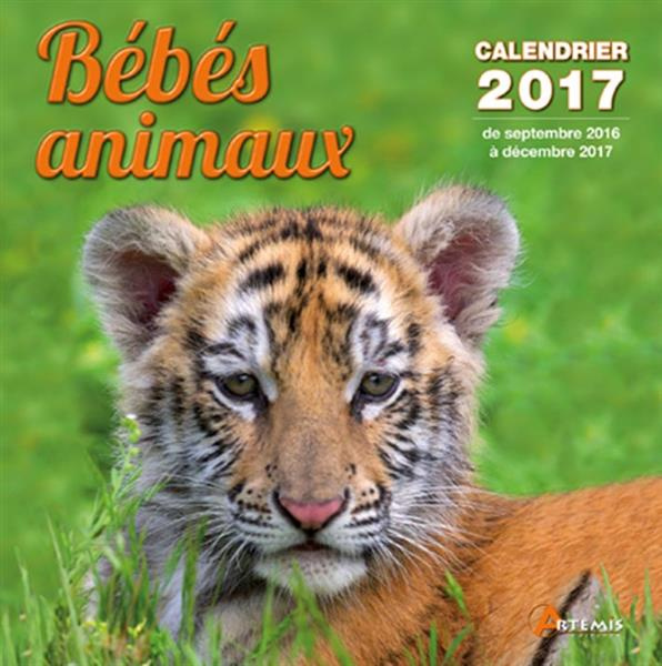 CALENDRIER BEBES ANIMAUX 2017
