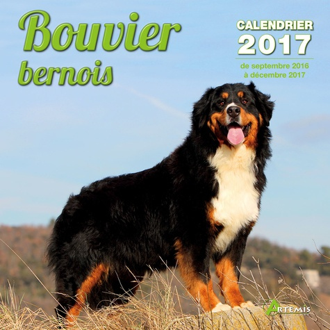 CALENDRIER BOUVIER BERNOIS 2017