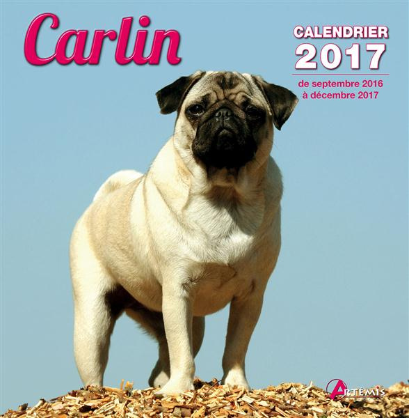 CALENDRIER CARLIN 2017