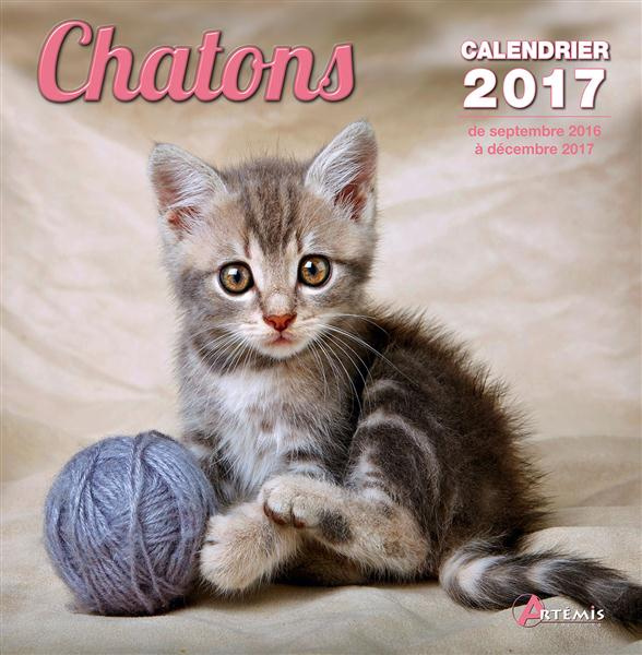 CALENDRIER CHATONS 2017