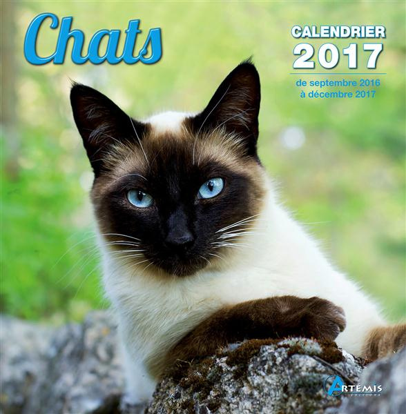 CALENDRIER CHATS 2017