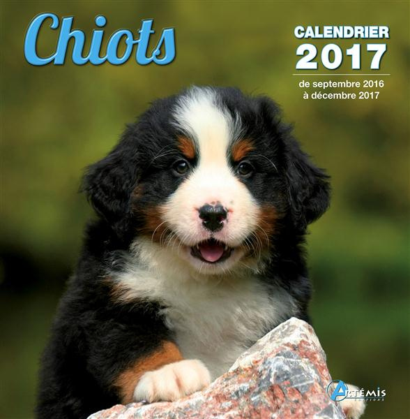 CALENDRIER CHIOTS 2017