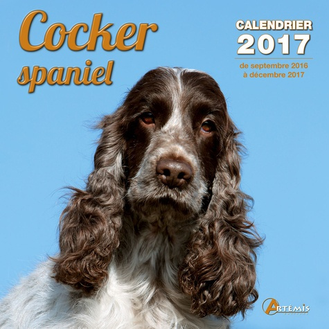 CALENDRIER COCKER SPANIEL 2017