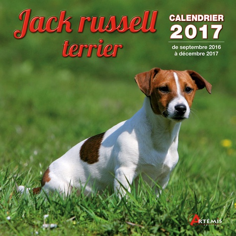 CALENDRIER JACK RUSSELL TERRIER 2017