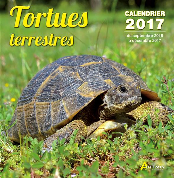 CALENDRIER TORTUES TERRESTRES 2017
