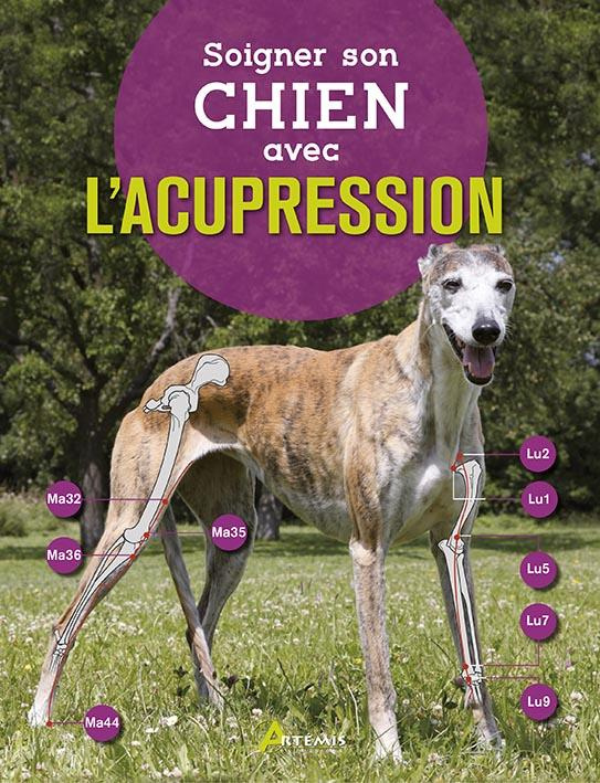 Soigner son chien avec l'acupression