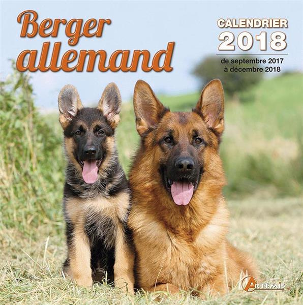 BERGER ALLEMAND (2018)