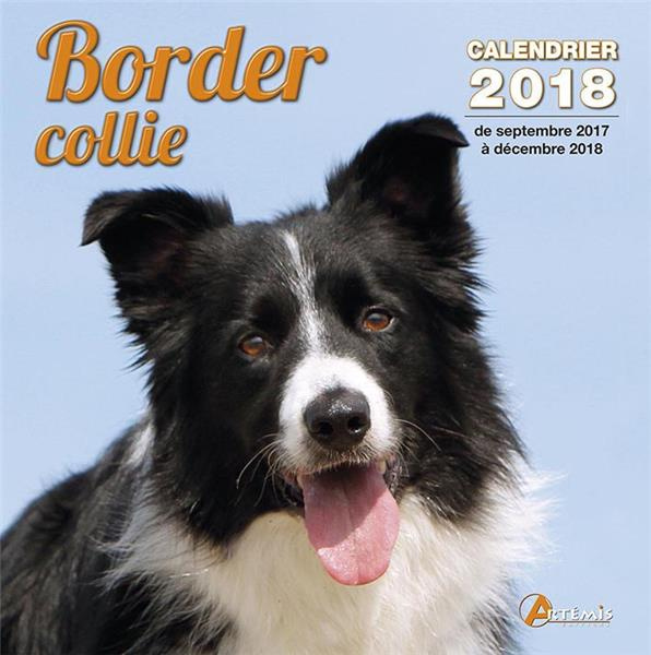 BORDER COLLIE (2018)