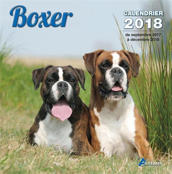 BOXER (2018)