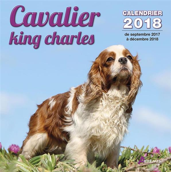 CAVALIER KING CHARLES (2018)