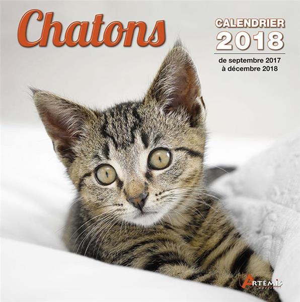 CHATONS (2018)