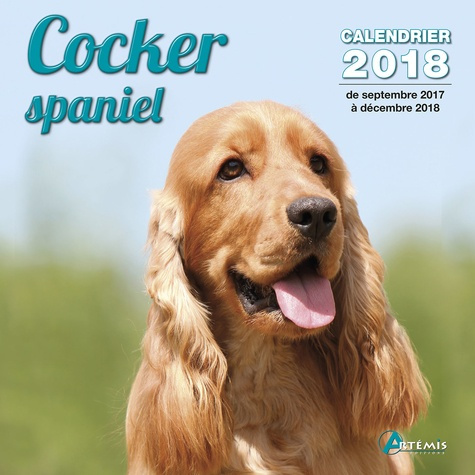 COCKER SPANIEL (2018)