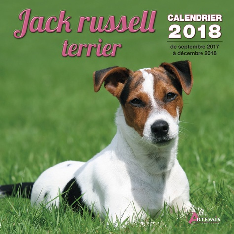 JACK RUSSELL TERRIER (2018)