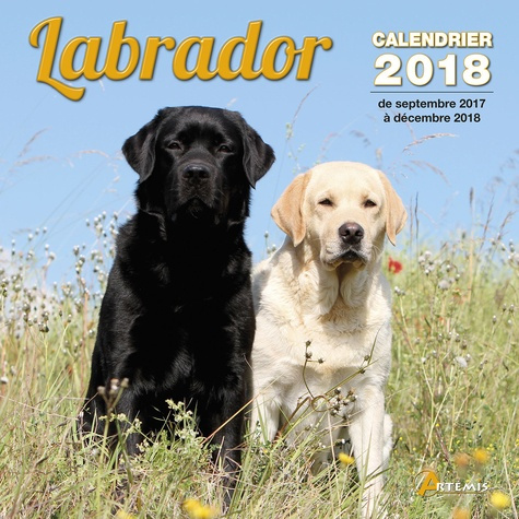 LABRADOR (2018)