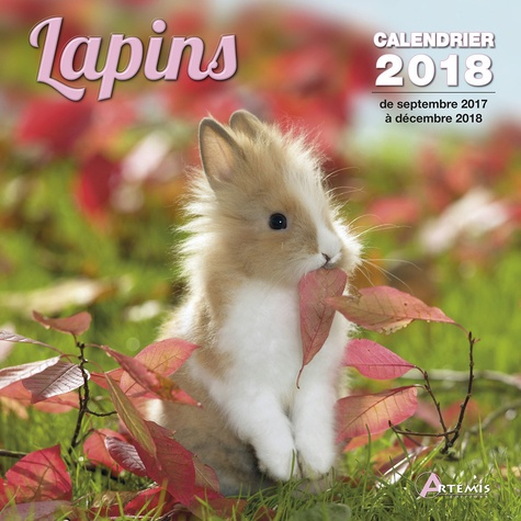 LAPINS (2018)