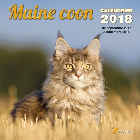 MAINE COON (2018)