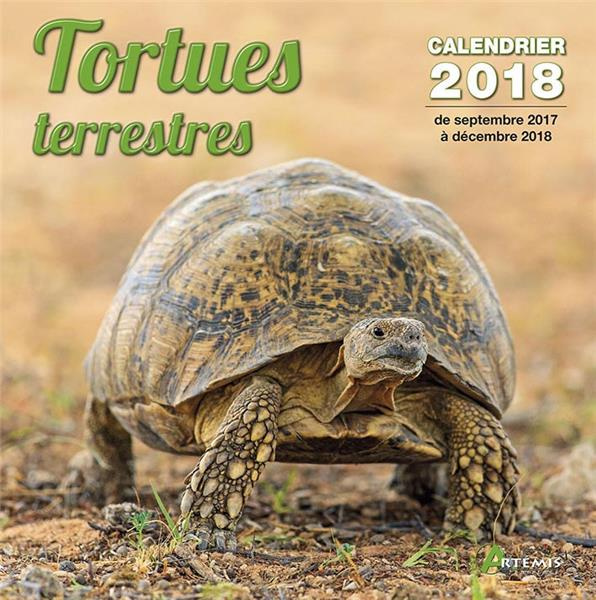 TORTUES TERRESTRES (2018)