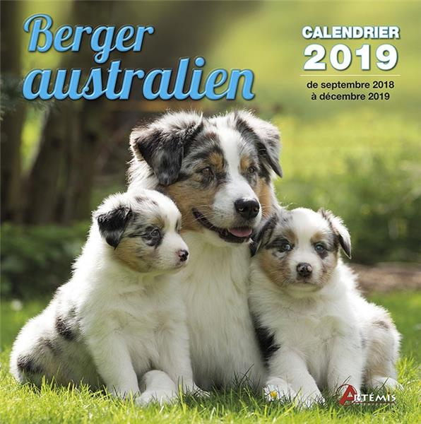 Berger australien. Edition 2019