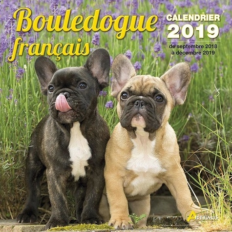 Bouledogue français. Edition 2019