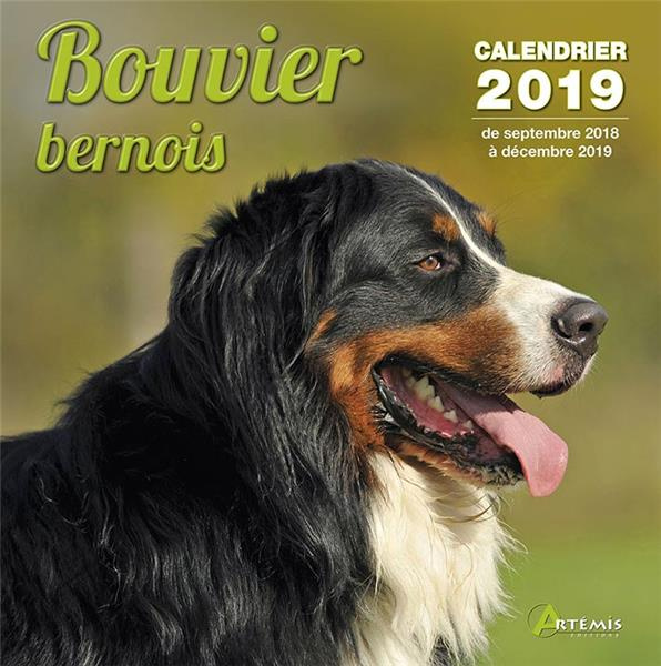 Bouvier bernois. Edition 2019