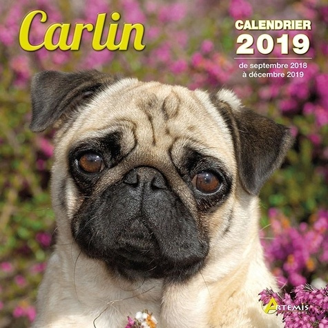 Carlin. Edition 2019