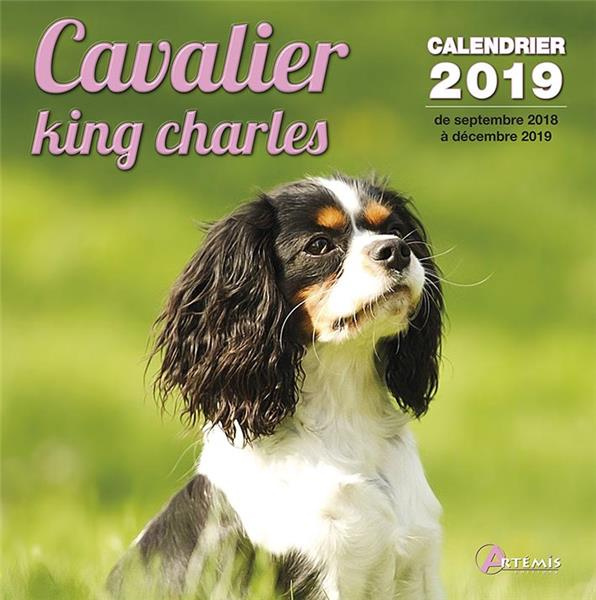 Cavalier king Charles. Edition 2019