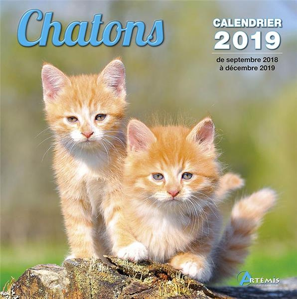 Chatons. Edition 2019