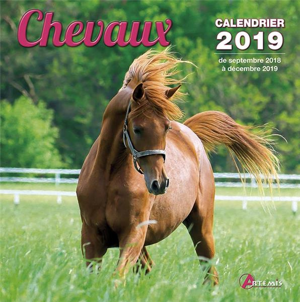 Chevaux. Edition 2019