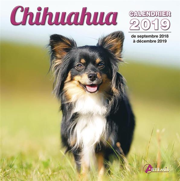 Chihuahua. Edition 2019