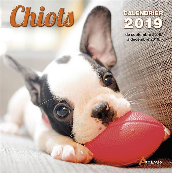 Chiots. Edition 2019