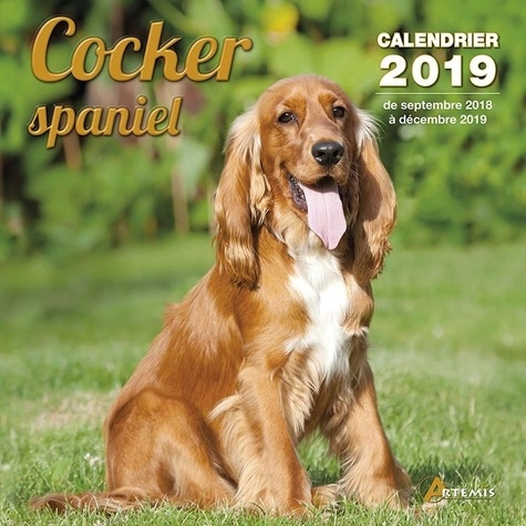 Cocker spaniel. Edition 2019