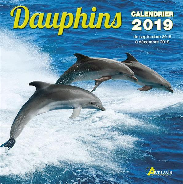 Dauphins. Edition 2019