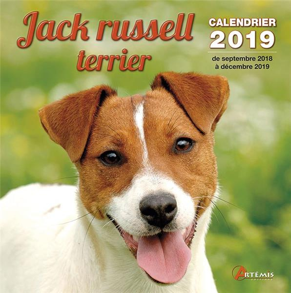 Jack russell terrier. Edition 2019
