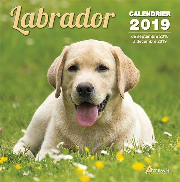 Labrador. Edition 2019
