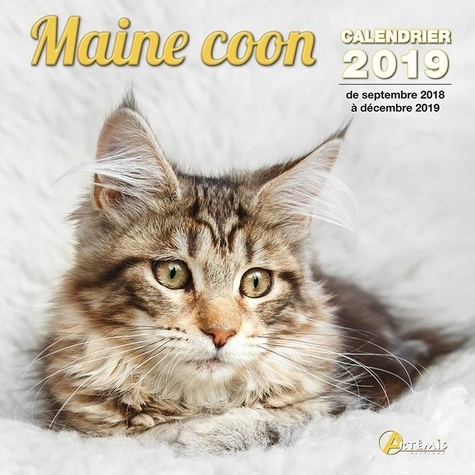 Maine coon. De septembre 2018 à décembre 2019, Edition 2019