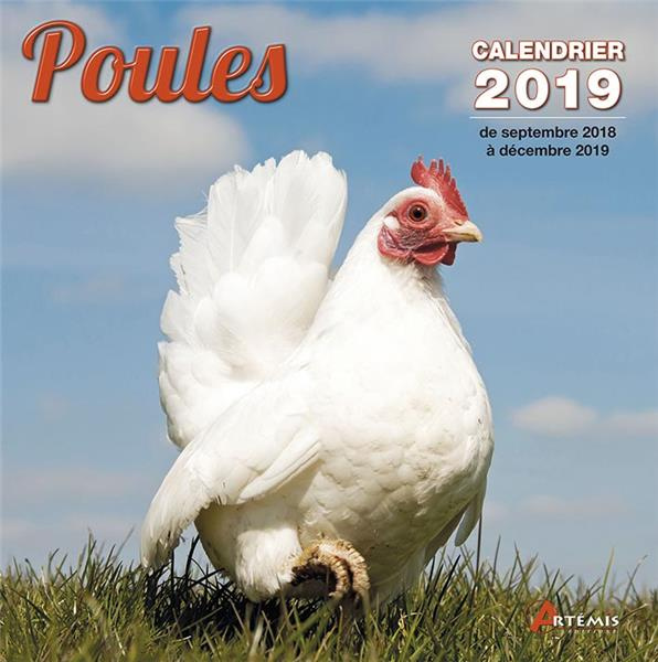 Poules. Edition 2019