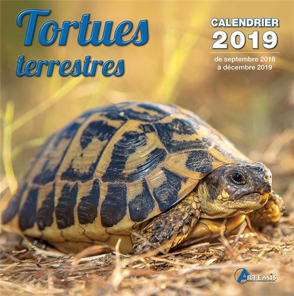 Tortues terrestres. Edition 2019