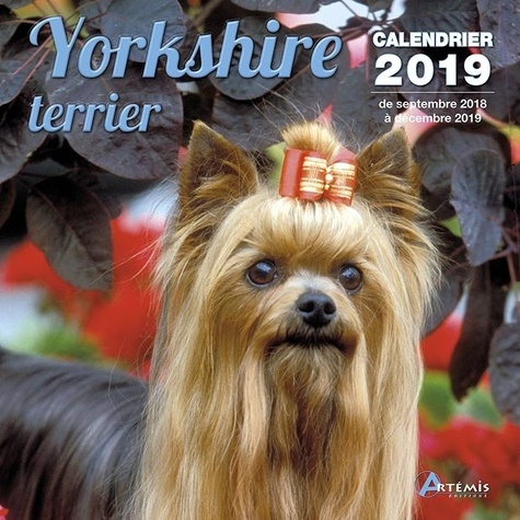 Yorkshire terrier. Edition 2019