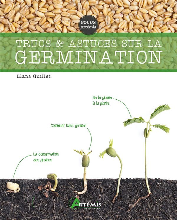 Trucs et astuces sur la germination